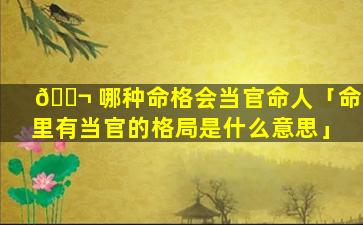 🐬 哪种命格会当官命人「命里有当官的格局是什么意思」